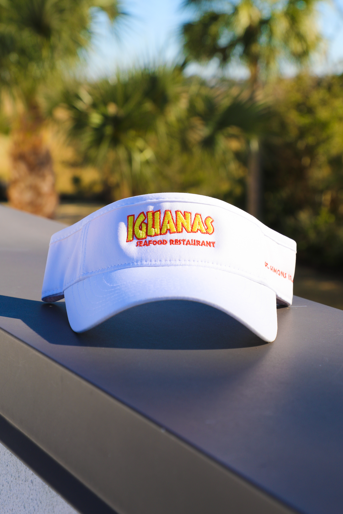 Iguana's Visor
